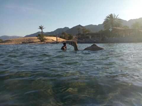 Хостел Sebaii Camp السباعى كامب شاطئ الترابين بجوار ويت بالس Нувейба Екстер'єр фото