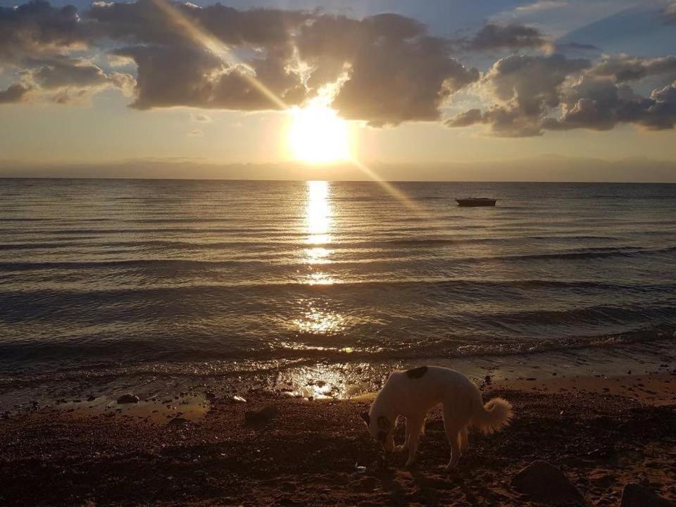Хостел Sebaii Camp السباعى كامب شاطئ الترابين بجوار ويت بالس Нувейба Екстер'єр фото